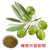 橄榄叶提取物 橄榄苦甙10%-50% 橄榄叶粉 橄榄叶提取液