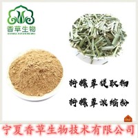 柠檬草提取物批发 柠檬香草粉98%厂家供应 速溶香茅浸膏粉