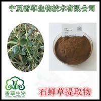 石蝉草提取物 散血丹生粉 石蝉草浓缩粉 浸膏 石蝉草提取液