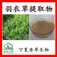 羽衣草提取物 供应珍珠草提取液 化妆品原料 斗篷草提取物