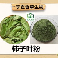 柿子叶提取物生产厂家供应 柿子叶粉100目 柿蒂提取物