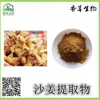 沙姜提取物 姜根浸膏 沙姜根茎粉批发 山奈叶全粉浓缩液