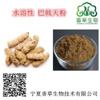 巴戟天提取物浓缩粉水溶巴戟天粉SC厂家供应巴戟天皂甙80%