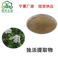 独活粉 独活提取物厂家供应 独活叶速溶粉90% 羌活浸膏粉