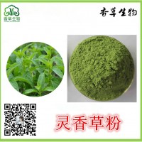 灵香草提取物 香料粉 广灵香草粉100目 厂家供应广灵草浸膏