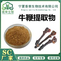 牛鞭提取物  牛鞭粉 冻干牛鞭粉 牛鞭速溶粉 浓缩型 牛鞭肽