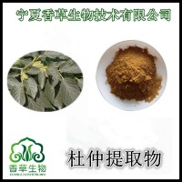 杜仲叶粉浸膏粉80目 杜仲叶提取物  杜仲叶浸膏粉包邮