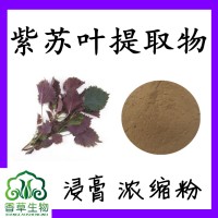 紫苏叶粉100目 紫苏叶提取物 紫苏叶黄酮价格