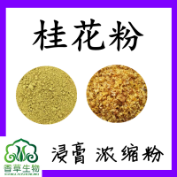 桂花粉80目宁夏厂家桂花提取物 桂花提取液  桂花提取粉