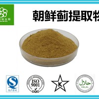 洋蓟酸5% 洋蓟素 朝鲜蓟提取物 厂家现货 价格优惠