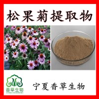 松果菊提取物紫锥菊提取物紫锥菊花粉