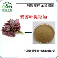 紫苏叶提取物 紫苏叶浓缩提取液 紫苏叶粉 紫苏浸膏粉