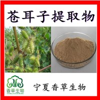 苍耳子提取物苍耳子甙 苍耳子粉  苍耳子提取液浸膏