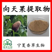 向天果提取物向天果黄酮30%向天果粉浸膏粉