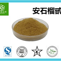 安石榴甙40% 安石榴苷 石榴皮提取物 源头工厂 专业供应