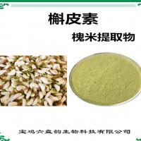 槐米提取物 槲皮素 植物提取物