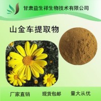 山金车花提取物  山金车花粉