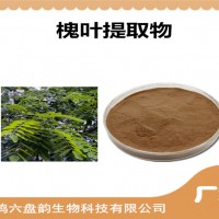 槐叶提取物 槐叶粉 药食同源原料