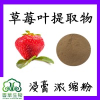 草莓叶提取物草莓叶粉10:1 草莓叶提取液   草莓叶浸膏