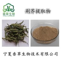 荆芥穗提取物 干荆芥粉 香荆荠提取液 荆芥浸膏厂家