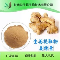 生姜提取物 10:1 生姜速溶粉 生姜 粉 生姜浸膏粉