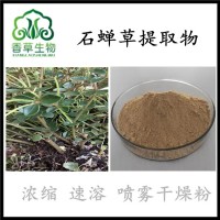 石蝉草提取物火伤叶提取物厂家 散血胆速溶粉 胡椒草浓缩液