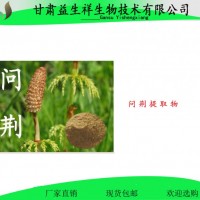 问荆提取物10:1 1公斤起订 问荆草提取物