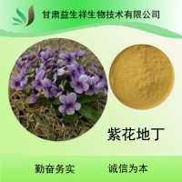 紫花地丁提取液 紫花地丁提取物 10:1 紫花地丁粉