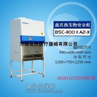 BSC-1100IIA2-X生物安全柜鑫贝西（6大）