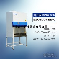 单人全排生物安全柜BSC-1100IIB2-X厂家