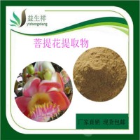 菩提花提取物10:1 菩提花速溶粉  各种规格  一公斤起订