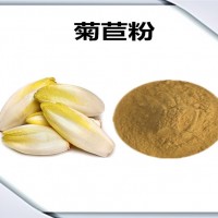 菊苣浓缩粉 菊苣粉 生产厂家