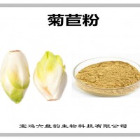 菊苣速溶粉 菊苣粉 厂家发货