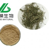 问荆提取物 7%硅 SC生产厂家 药食同源产品