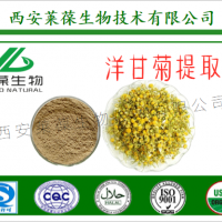 洋甘菊提取物 洋甘菊1.2%-98%芹菜素  SC生产厂家