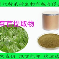 菊苣提取物 10:1规格菊苣粉 菊苣酸/菊苣粉