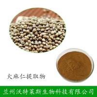 火麻仁提取物 10:1规格 植物火麻仁提取