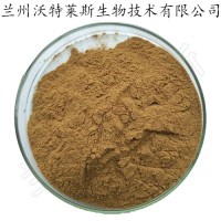 狭基线纹香茶菜提取物 大量库存  批发价格