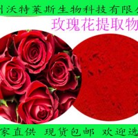 玫瑰花提取物 10：1 玫瑰花粉