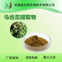 马齿苋粉  药食同源原料  马齿苋粉