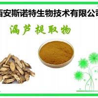 漏芦提取物 漏芦粉 10:1 SNT生物 商家包邮