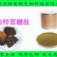 白桦茸糖肽 白桦茸多肽 小分子肽