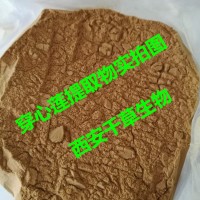 穿心莲烘焙干燥粉西安千草生物供应