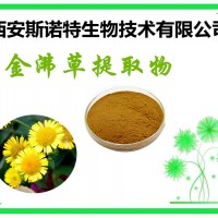 旋覆花提取物 20:1 金沸草粉 金佛草粉 包邮