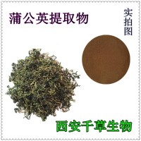 蒲公英提取物 厂家生产植物提取物蒲公英水溶粉浓缩浸膏