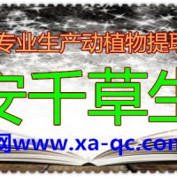 谷茴香水溶粉厂家定制植物提取物