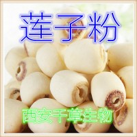 莲子粉天然植物提取 厂家生产植物提取物定做莲子浓缩浸膏