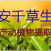 南苍术提取物 厂家生产植物提取物 定做流浸膏