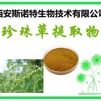 斯诺特生物 珍珠草提取物 珍珠草粉 提取物