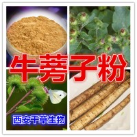 牛蒡子提取物厂家专业定制植物浓缩浸膏